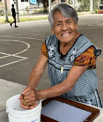 img_amviac-homeQS_425x500_2